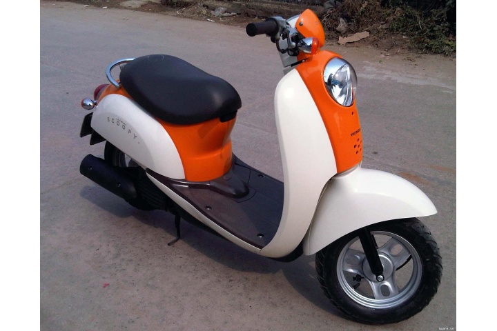 xe honda scoopy 50cc